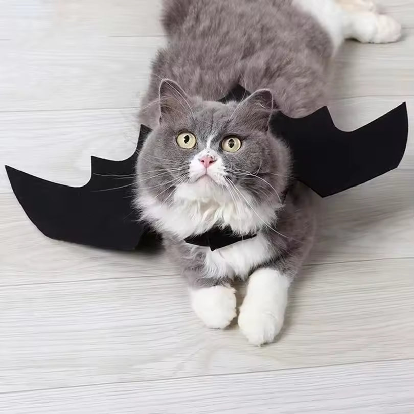 Spooky Bat Wings Costume