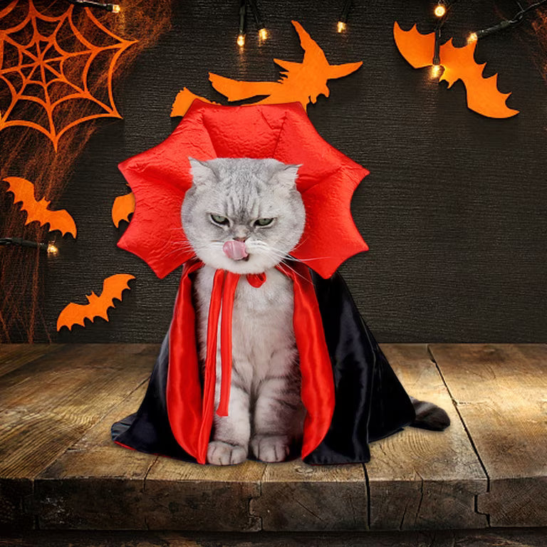 Count Meowcula Halloween Cape