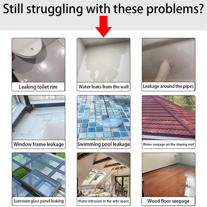Polyurethane Waterproof Coating