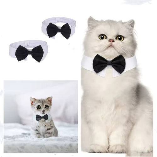 Festive Pet Necktie Set
