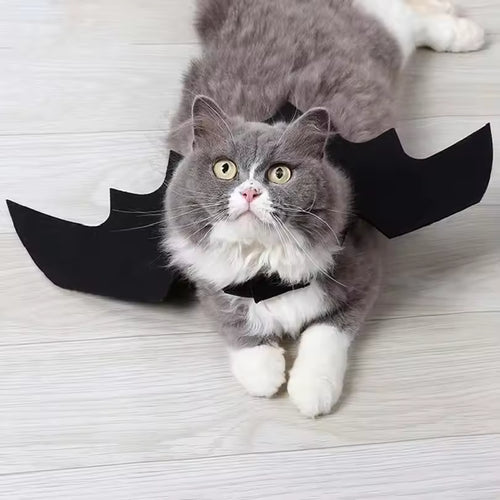 Spooky Bat Wings Costume